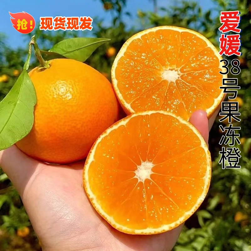 正宗四川蒲江新鲜爱媛38号果冻橙果径70-75mm4.5斤【宝妈优选】