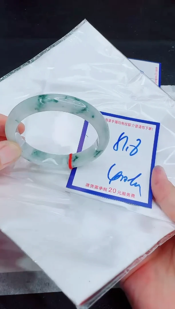 未镶嵌手镯翡翠11111111