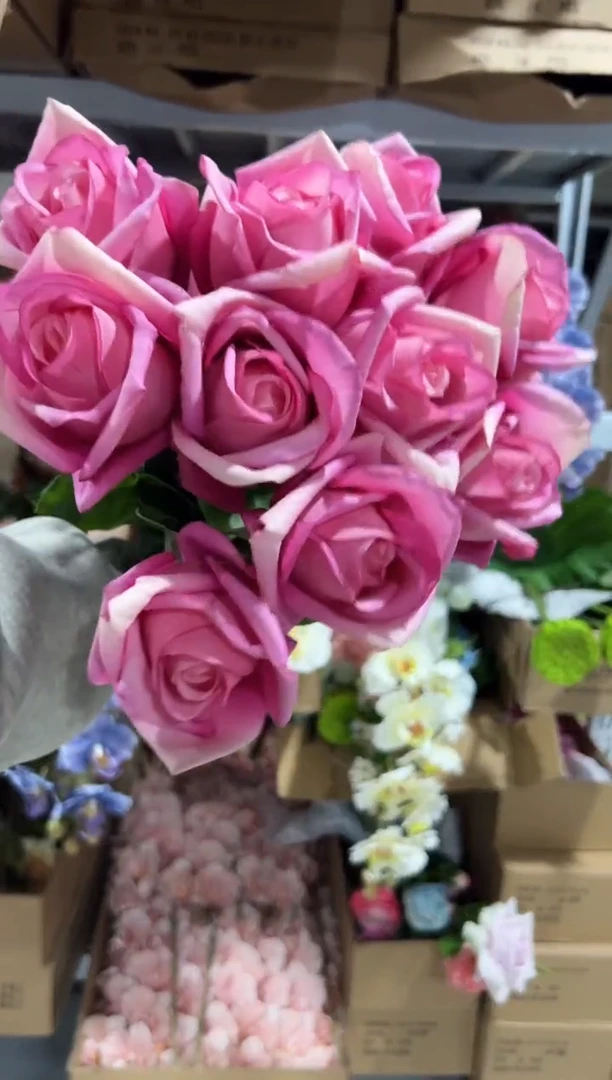 10枝玫粉手感保湿双子座