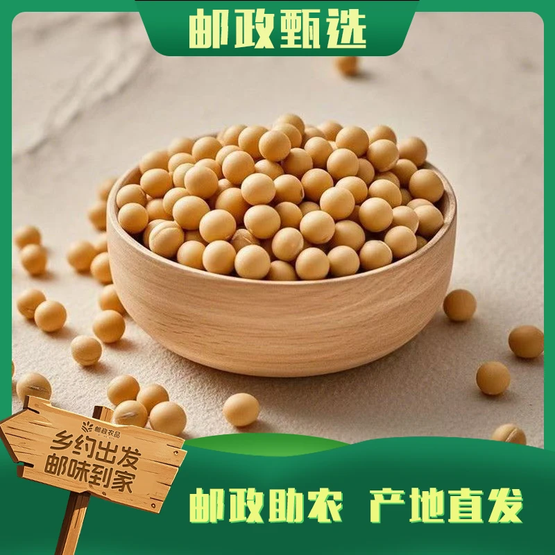 云南正宗黄豆无杂质黄豆打豆浆生豆芽营养丰富