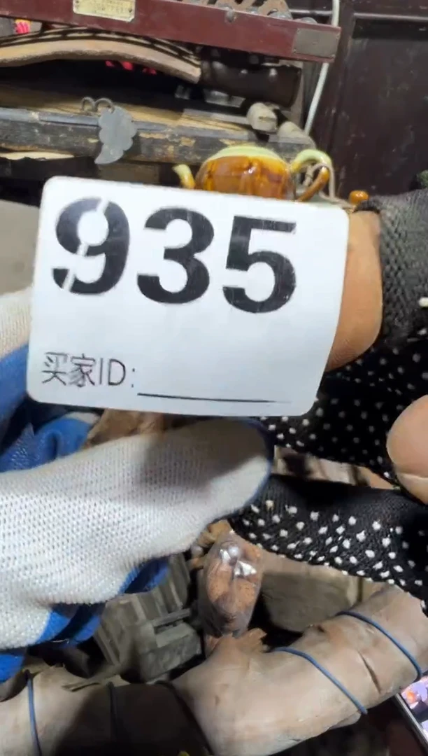 ✨****?0818老王直播间专属链接