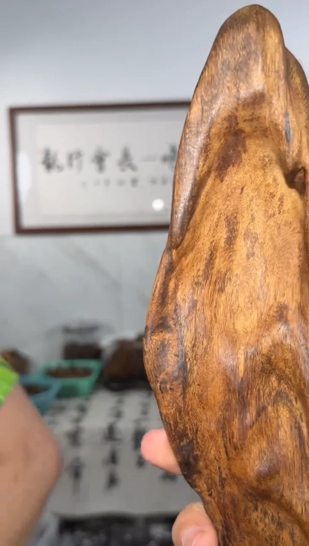 摆件沉香a350号黎母山195g多样性发一