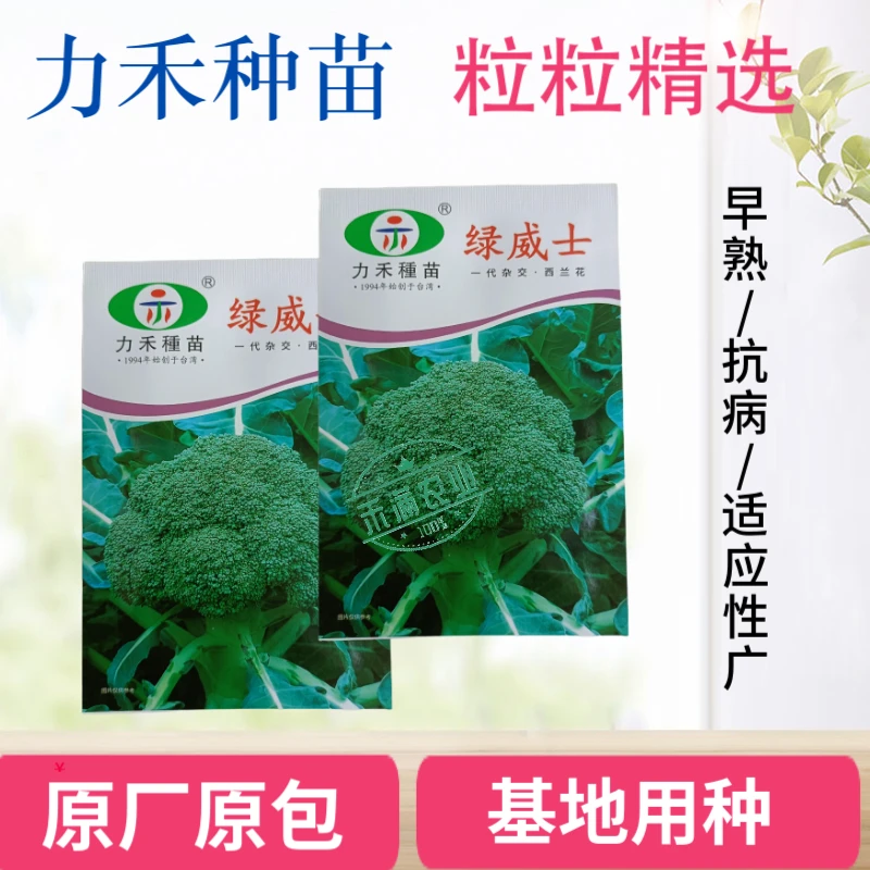 【力禾种苗】绿威士西兰花种子  春秋可播绿菜花基地优选西兰花种籽