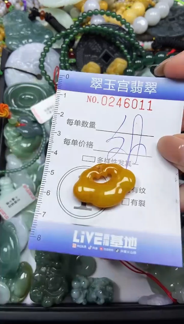 颈饰未镶嵌翡翠闪购C0246011