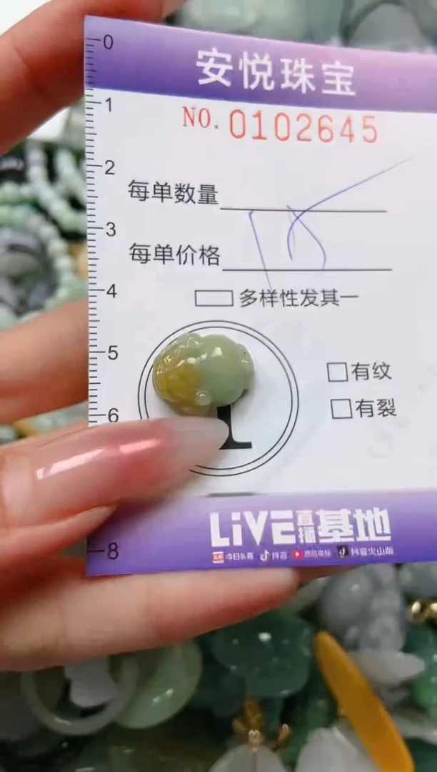 【闪购商品】翡翠颈饰未镶嵌闪购0102645