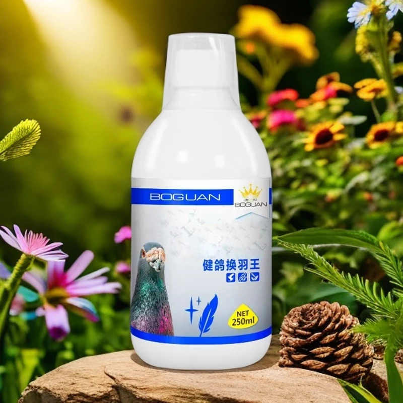 白鸽子健鸽换羽王 saglam kaptar jul gu tux xa yi【新疆包邮】