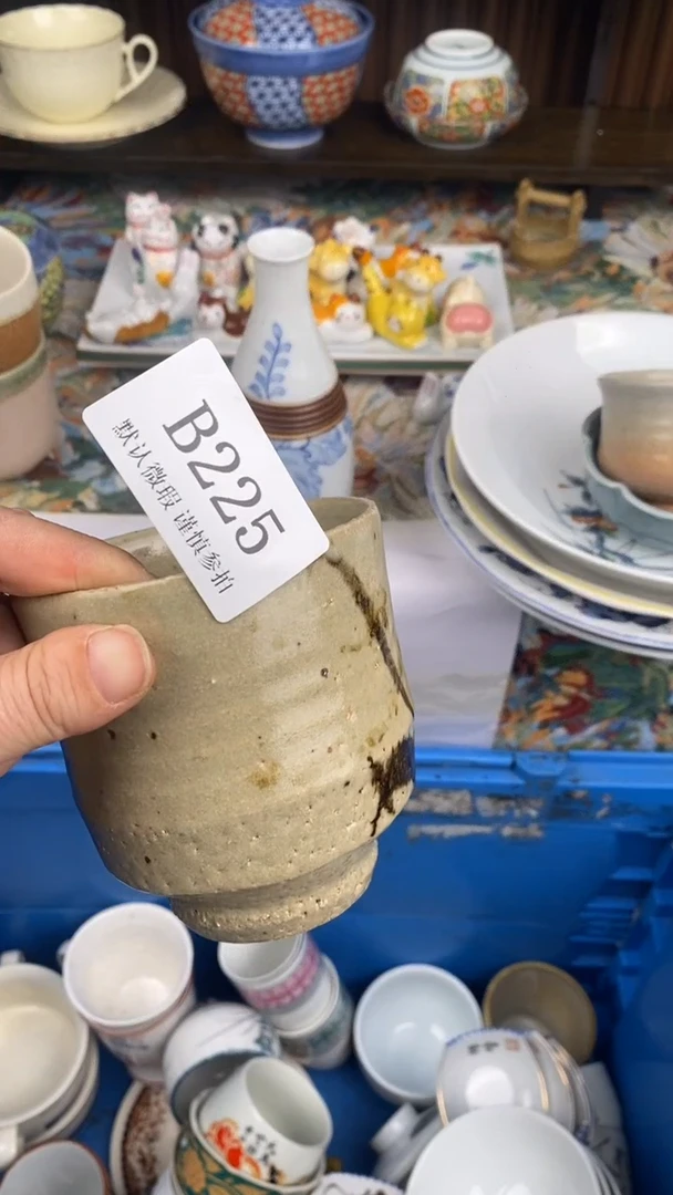 瓷片蔡**_B225 瓷片  一物一拍