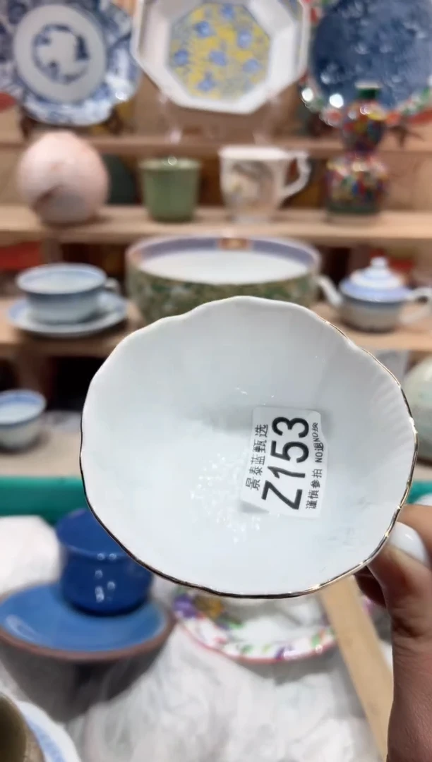 【闪购商品】瓷片当天凑满25米包邮Z153