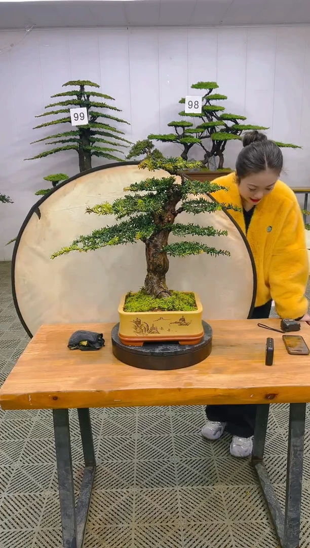 无花朵一物一拍一物一拍