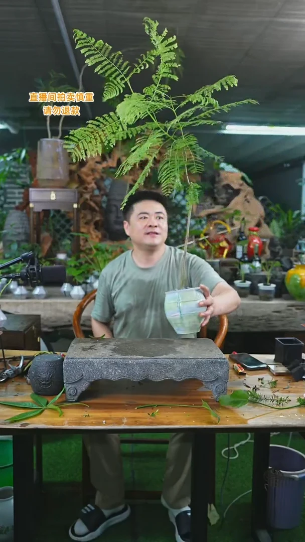 完全开放蓝花楹瓷器瓶