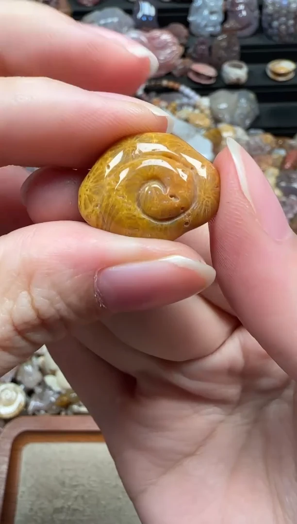 颈饰未镶嵌硅化珊瑚（珊瑚玉）726