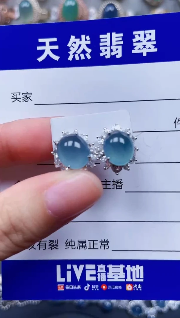 银S925镶嵌翡翠耳饰308