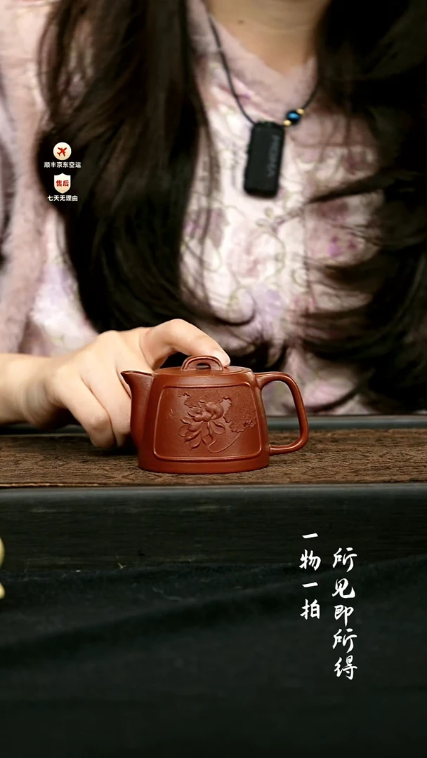 茶壶紫砂全手公道壶 一物见春