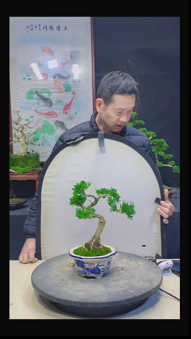 无花朵整****制111111111111