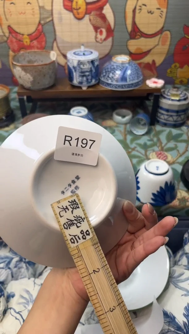 瓷片雨****我       R197