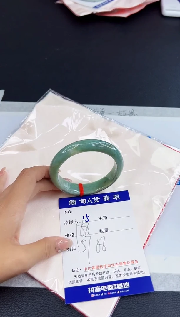 未镶嵌手镯翡翠11111