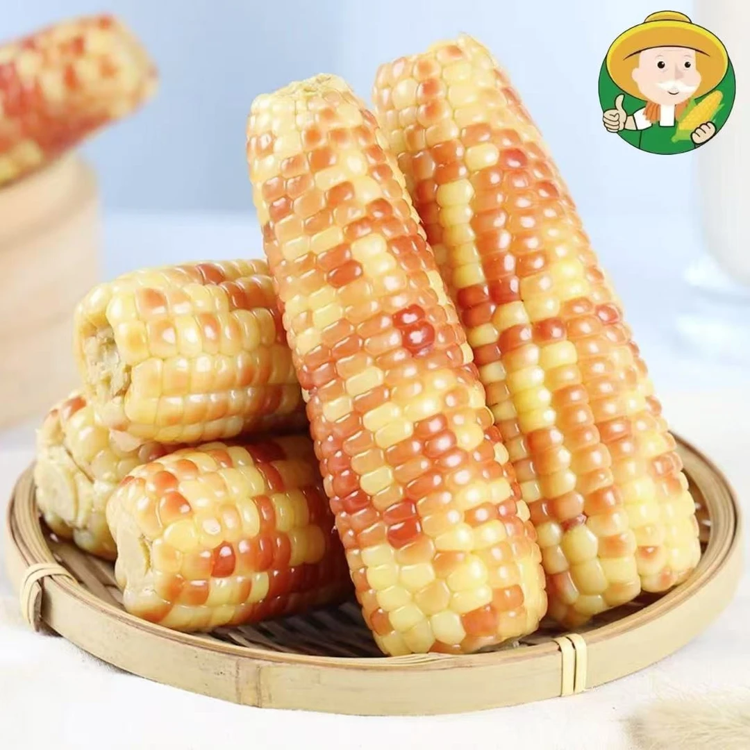 【小农人】云南香糯小玉米 软糯鲜香 【轻食】代餐 现采现发 营养辅食
