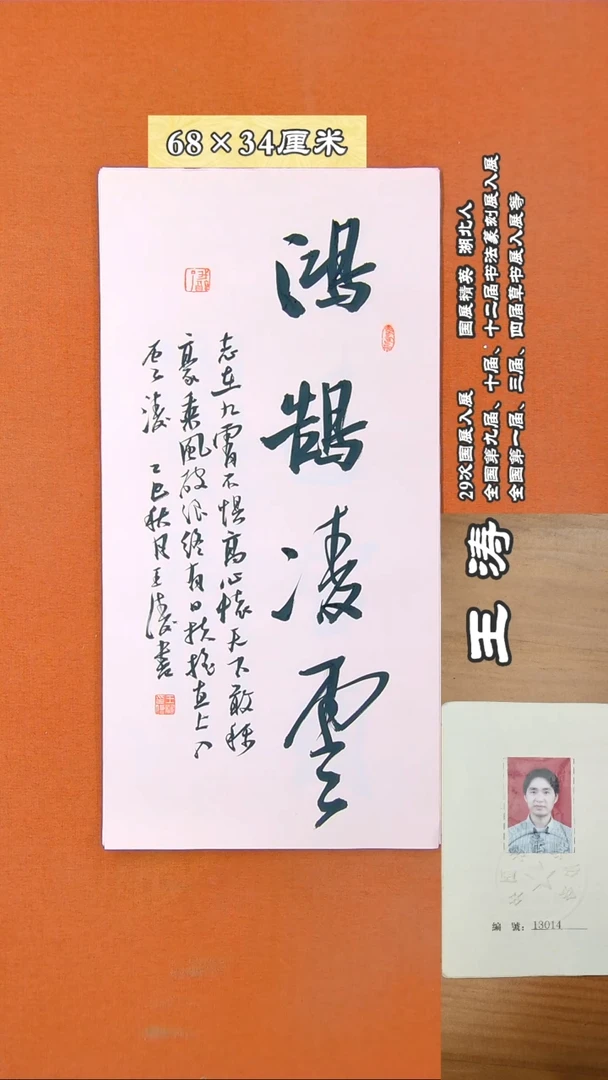 书法14D王涛书法作品
