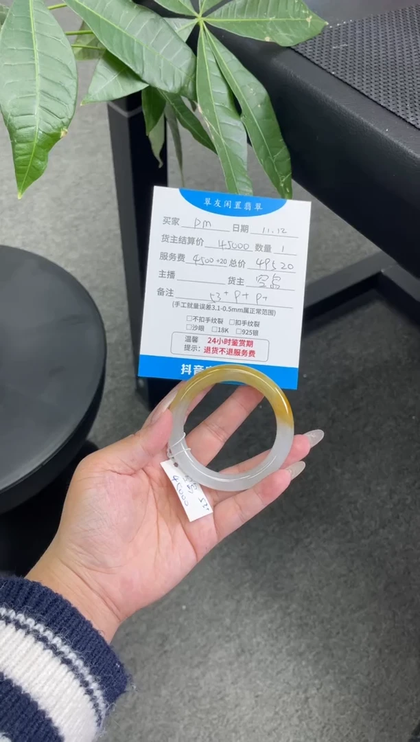 未镶嵌手镯翡翠p*l手镯