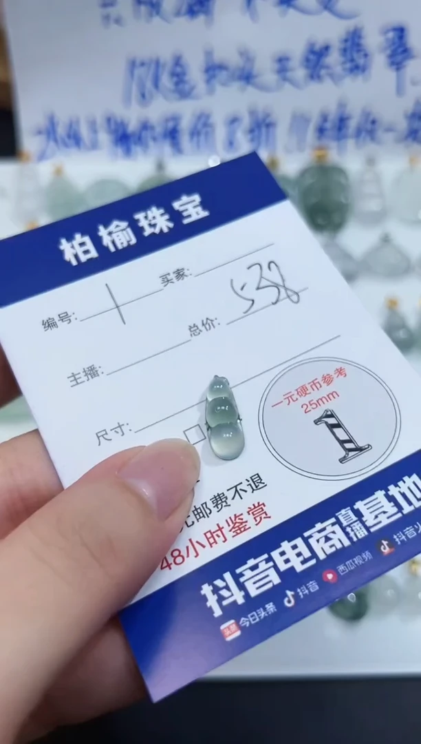 翡翠未镶嵌颈饰?****.1豆子