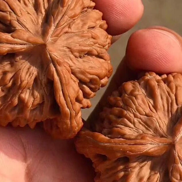 精品三棱核桃文玩收藏佳品异型粗筋狮子头