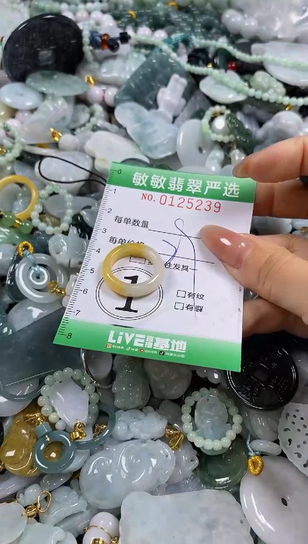 【闪购商品】翡翠颈饰未镶嵌闪购0125239