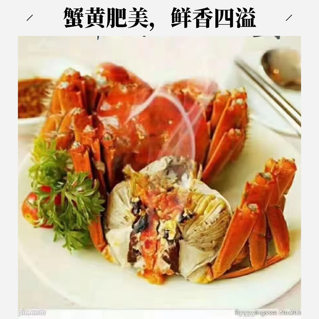 【15送5只】江苏青蟹海鲜1.0-1.2两不捆扎次日达顺丰包邮W2蟹同城配送