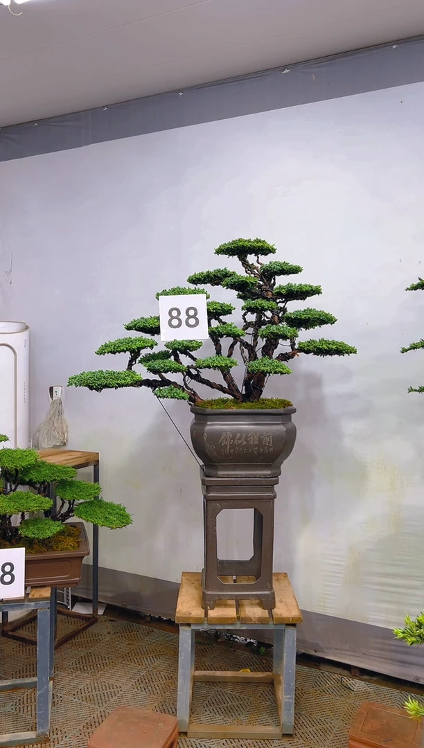 无花朵L****n一物一拍一物一拍