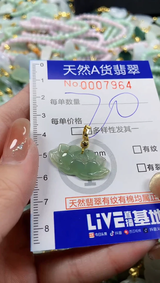 颈饰未镶嵌翡翠天然A货翡翠