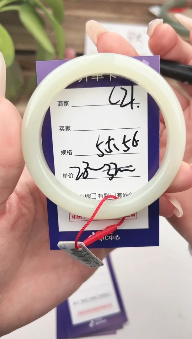 未镶嵌手镯和田玉微色差C21