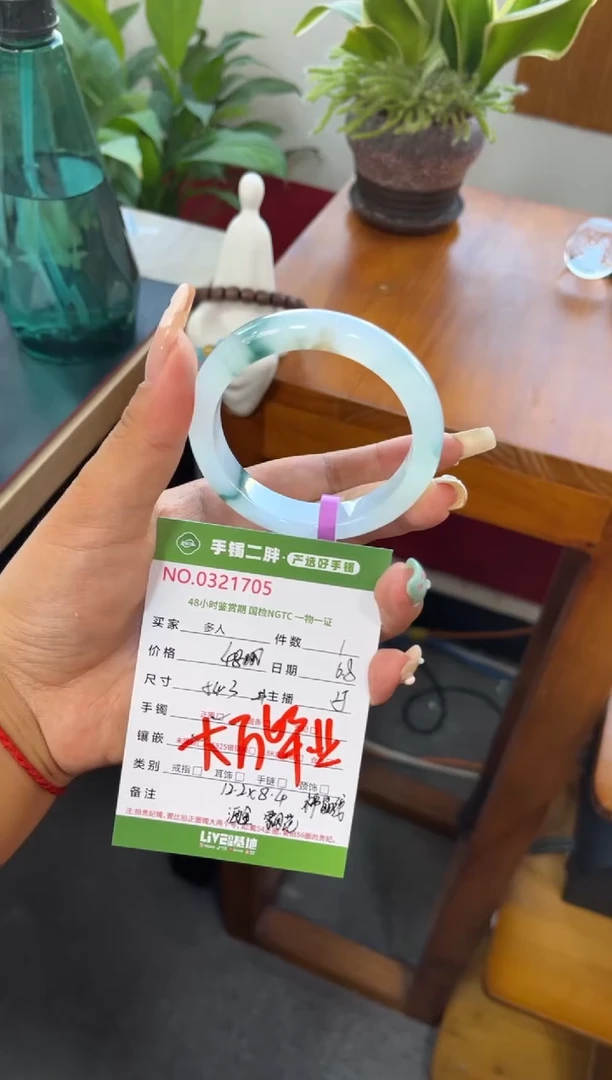 翡翠手镯未镶嵌多人1