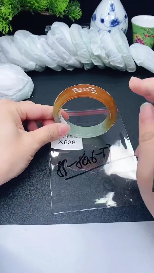 未镶嵌手镯翡翠838