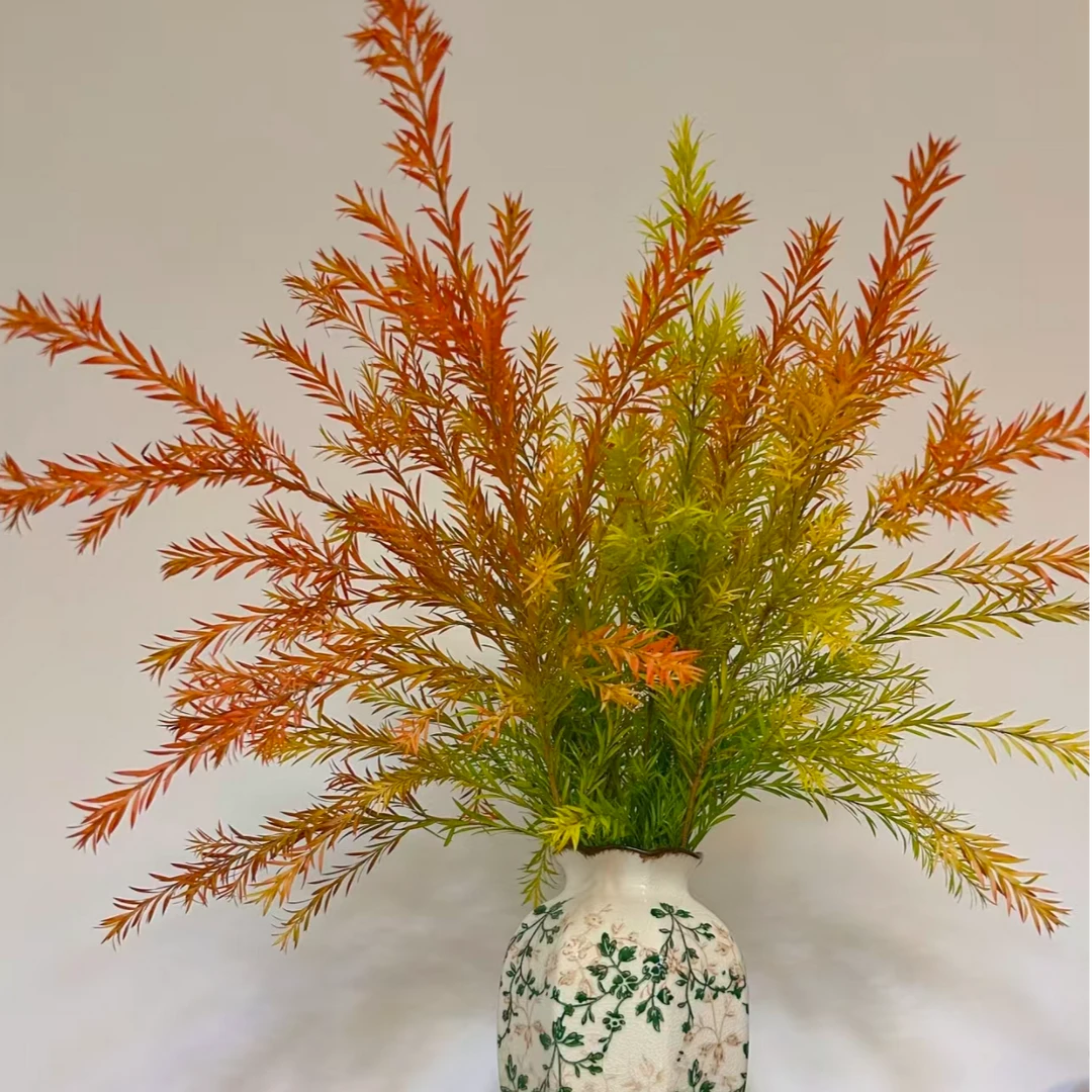 鲜花宠粉 2把不选色千层金 鲜花批发不售后介意勿拍