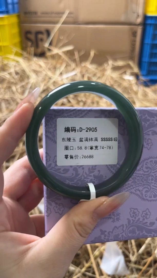 未镶嵌手镯石英质玉D-2905