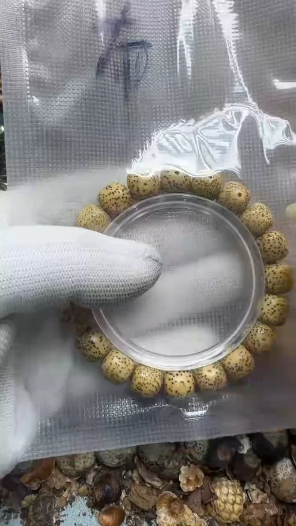 星月菩提吊坠爱****芬青稞手作精品文玩 鸡油黄 布洛芬