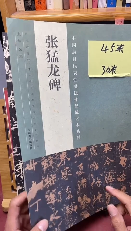 中国具代表性书法作品放大本系列：张猛龙碑库位B11-4