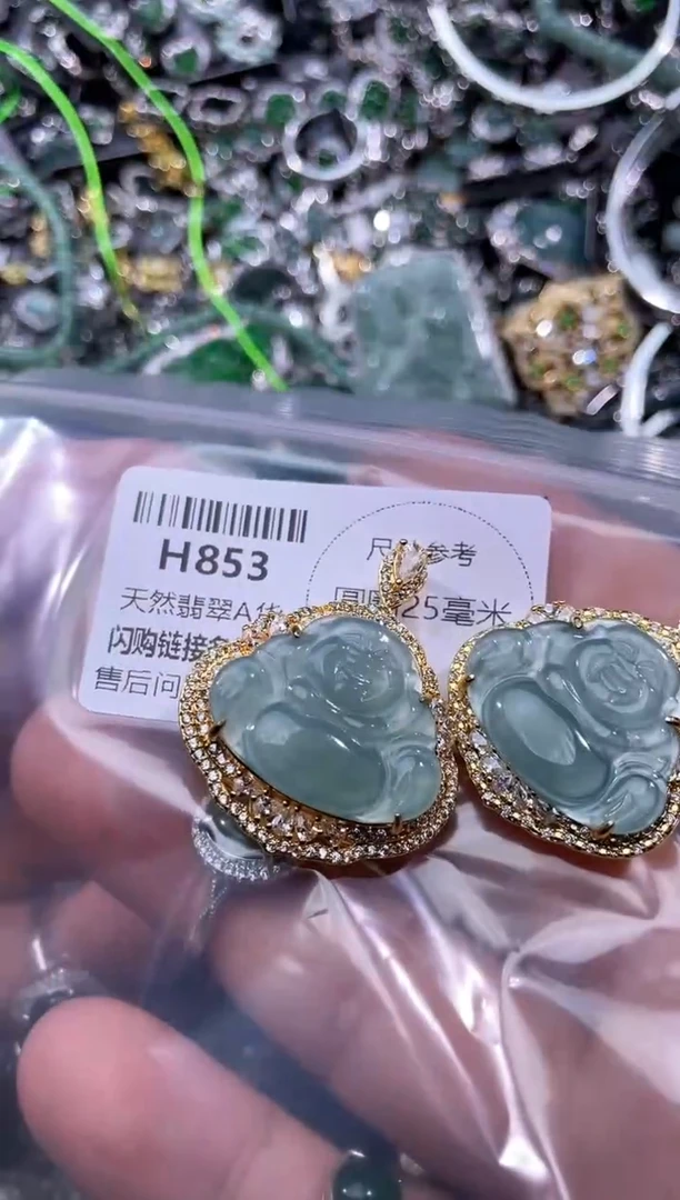 【闪购商品】翡翠颈饰未镶嵌H853多样性发其一