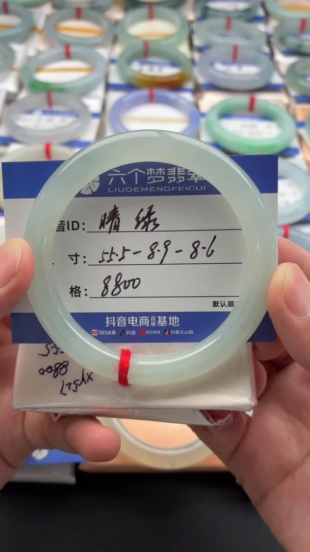 未镶嵌手镯翡翠晴绿 N2 48小时鉴赏期