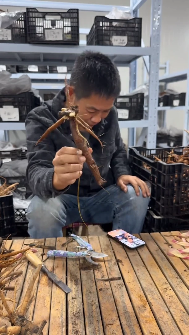 张29.9   张  御前