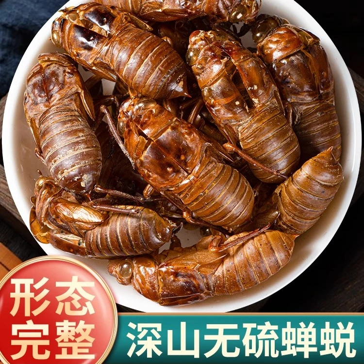 正品草野生蝉蜕 蝉脱中药材 蝉蜕壳蝉壳蝉衣蝉皮蝉退虫退知了壳皮