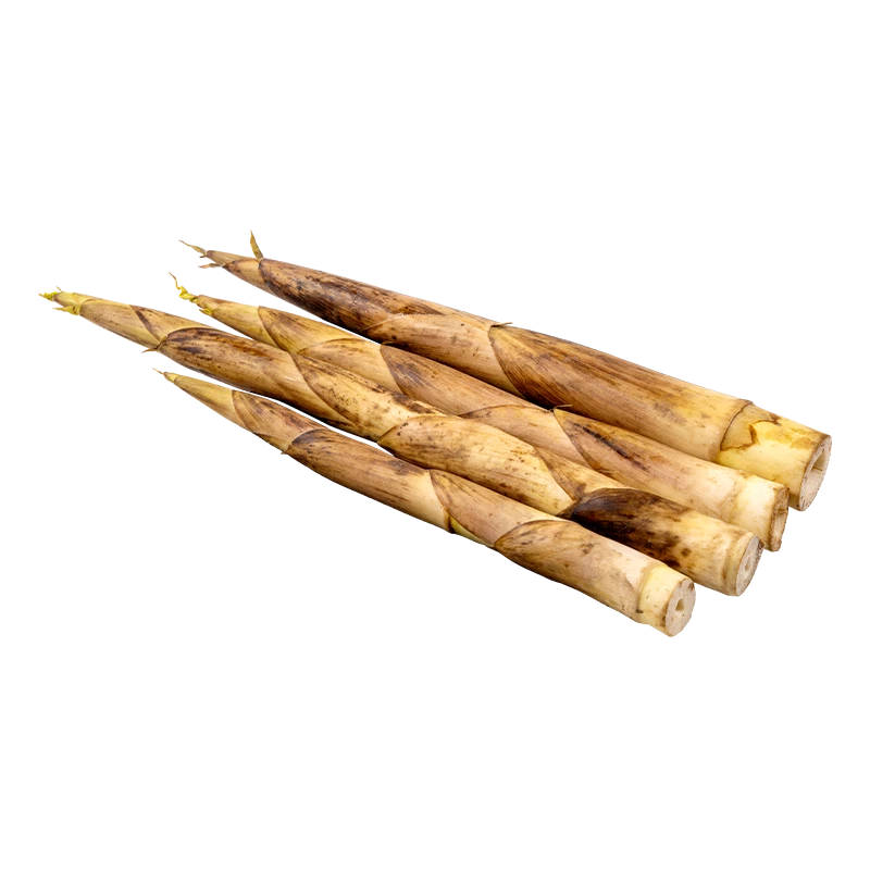 春季菜 · 雷竹笋约400g