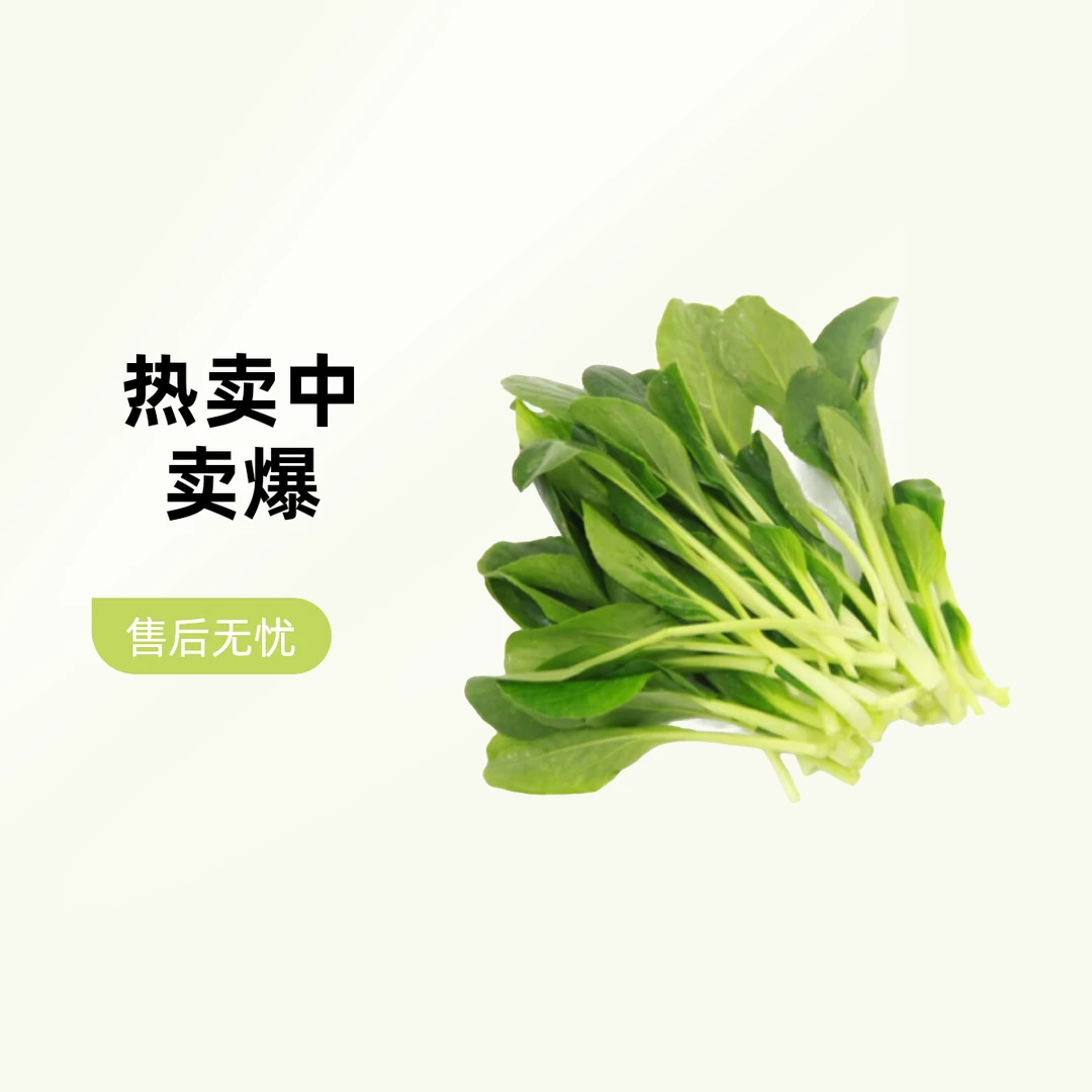 北京大兴鸡毛菜180g