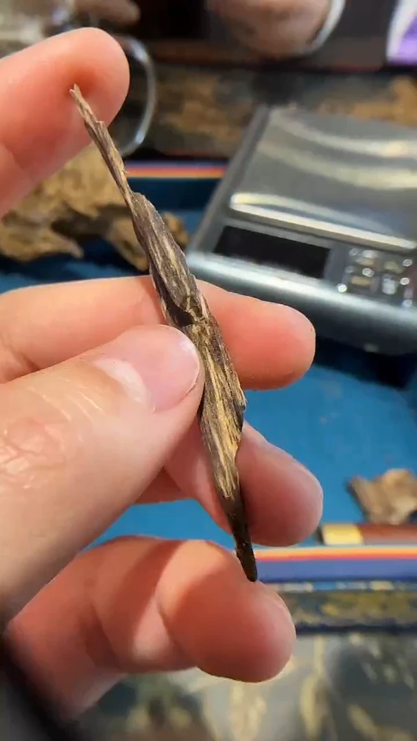 香料金三角老料树心0.5g