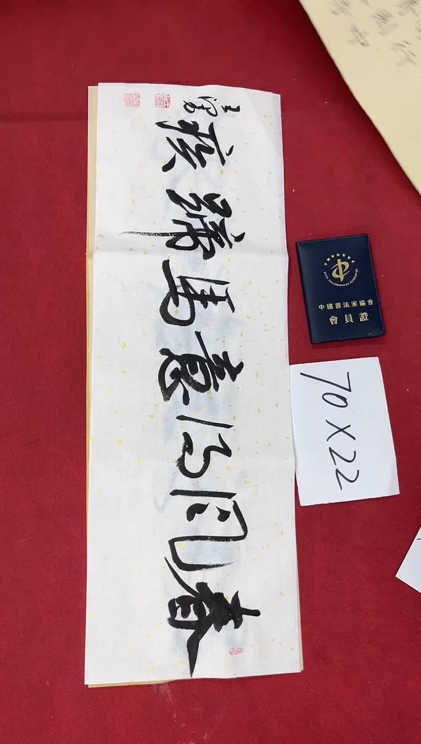 书法中书王泽勇老师书法作品