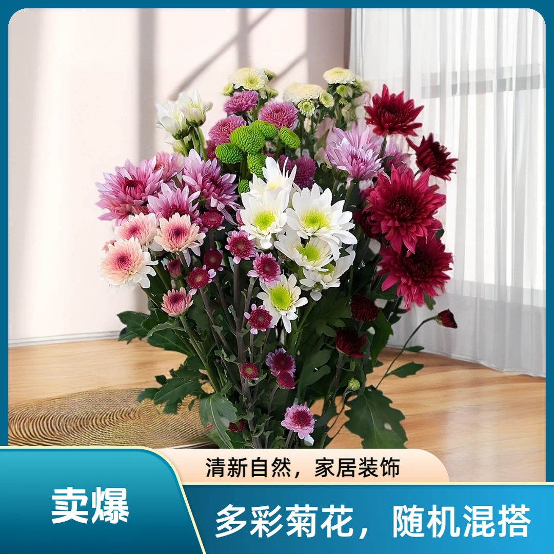 【小雏菊】混搭鲜花花束 【半斤花铺】 花农基地鲜花直发