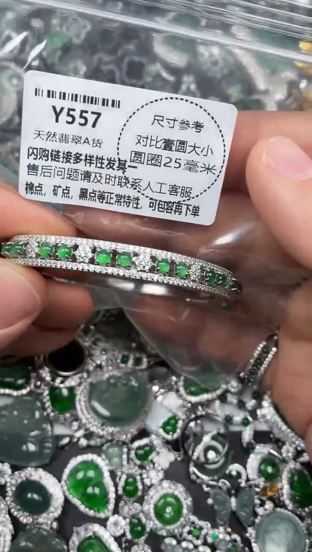 颈饰未镶嵌翡翠Y557手镯