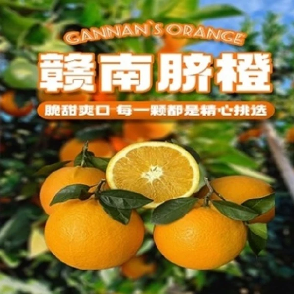 樱桃推荐【赣南脐橙】橙子 橙汁 水果 脐橙 3斤/箱