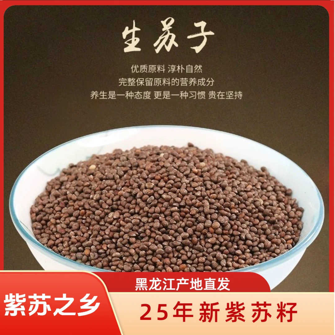 自己家种的当季新货饱满苏子生苏籽初级农产品绿叶紫苏90%发芽率