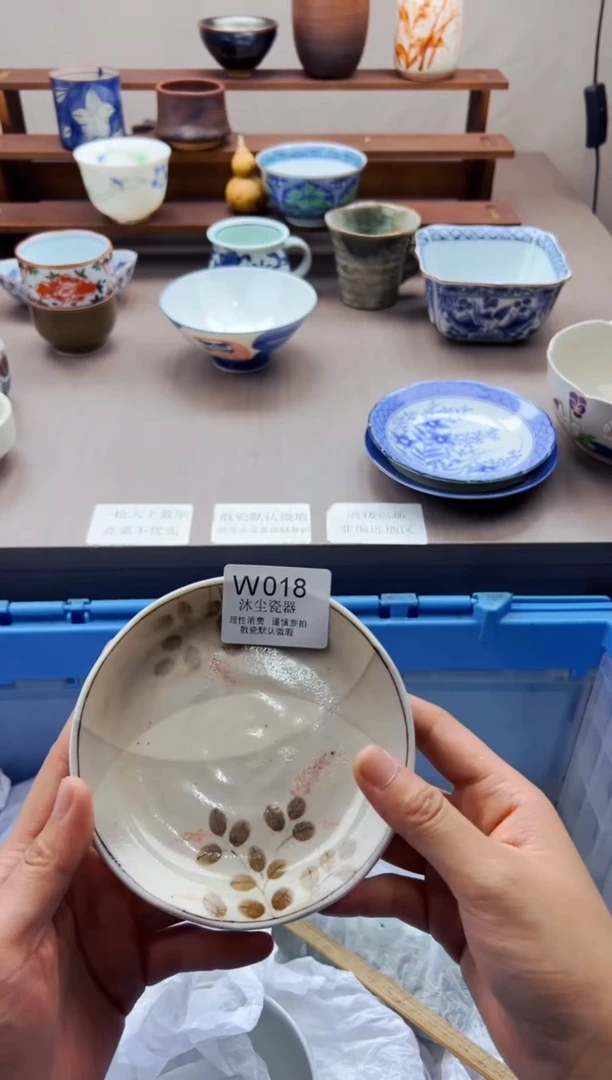 瓷片          W018