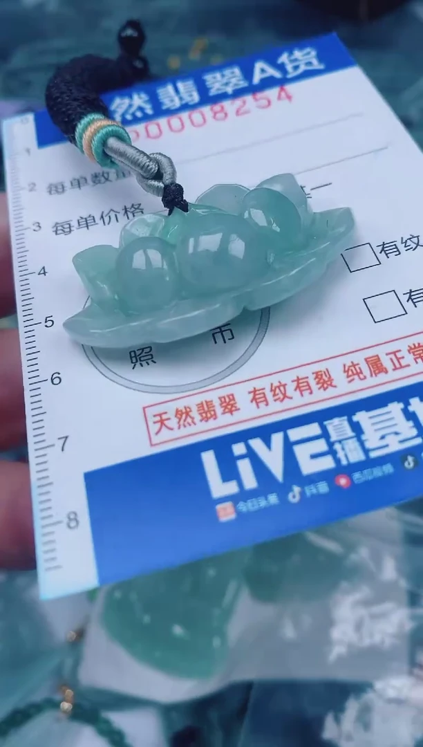 颈饰未镶嵌翡翠00008254